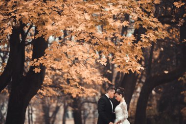 Lüks düğün çift, gelin ve damat park sonbaharda poz evli