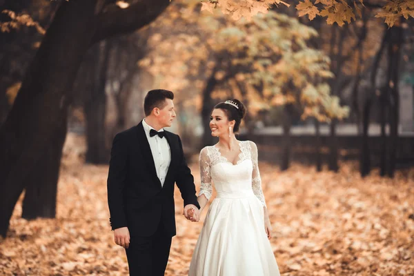 명품 결혼 웨딩 커플, 신부와 신랑 공원이을에 포즈 — 스톡 사진
