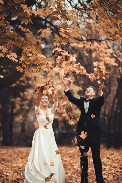 Luxury coppia di sposi sposati, sposa e sposo in posa nel parco autunno — Foto Stock