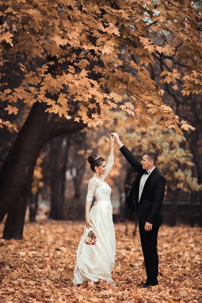 Luxury married wedding couple, bride and groom posing in park autumn — Stock Photo, Image