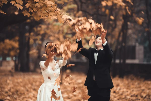 Luxe getrouwd huwelijkspaar, bruid en bruidegom poseren in het najaar van het park — Stockfoto