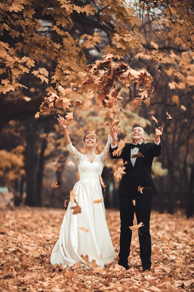 Luxury coppia di sposi sposati, sposa e sposo in posa nel parco autunno — Foto Stock