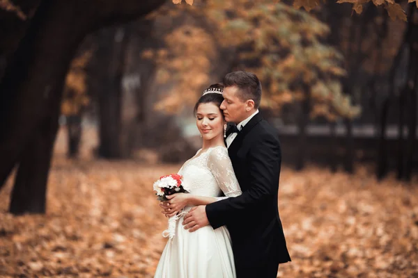 Luxury coppia di sposi sposati, sposa e sposo in posa nel parco autunno — Foto Stock