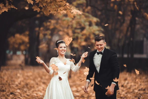 Роскошная супружеская пара, невеста и жених позируют в парке осенью — стоковое фото