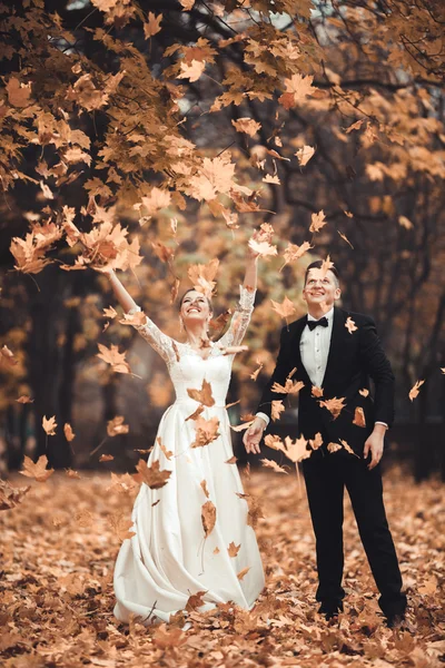 Luxus-Hochzeitspaar, Braut und Bräutigam posiert im Herbst im Park — Stockfoto