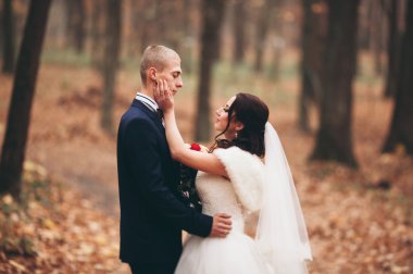 Mutlu evlilik çift, gelin ve damat park sonbaharda poz