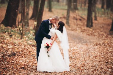 Mutlu evlilik çift, gelin ve damat park sonbaharda poz