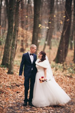 Mutlu evlilik çift, gelin ve damat park sonbaharda poz