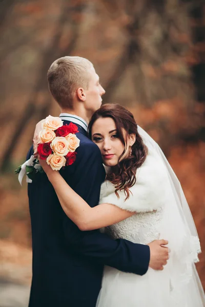 Glückliches Hochzeitspaar, Braut und Bräutigam posieren im Herbst im Park — Stockfoto