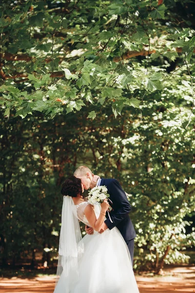 행복 한 웨딩 커플, 신부와 신랑 공원에서 포즈 — 스톡 사진