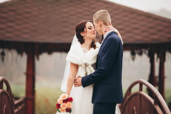 Mutlu evlilik çift, gelin ve damat park sonbaharda poz — Stok fotoğraf