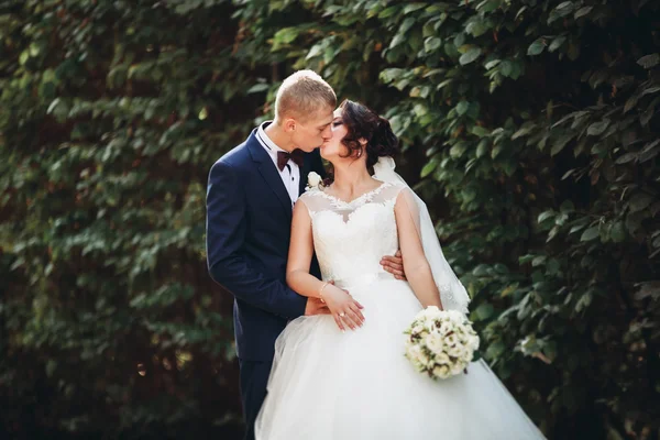 Glückliches Hochzeitspaar, Braut und Bräutigam posieren im Park — Stockfoto