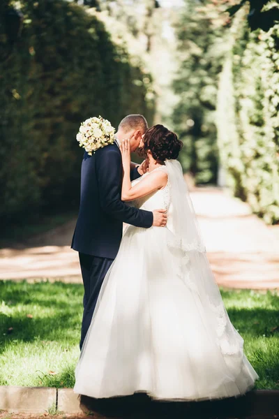 Joyeux couple de mariage, mariée et marié posant dans le parc — Photo