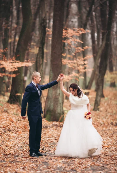 Felice coppia di nozze, sposa e sposo in posa nel parco autunno — Foto Stock