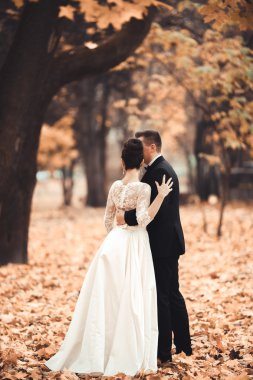 Lüks düğün çift, gelin ve damat park sonbaharda poz evli