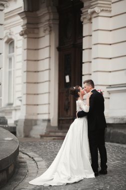 Lüks evli çift, gelin ve damat eski şehirde poz veriyor.