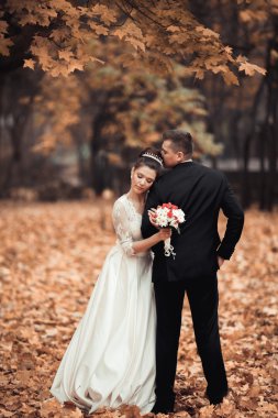 Lüks düğün çift, gelin ve damat park sonbaharda poz evli