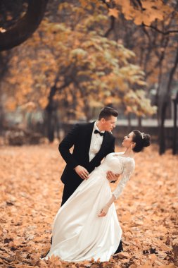 Lüks düğün çift, gelin ve damat park sonbaharda poz evli