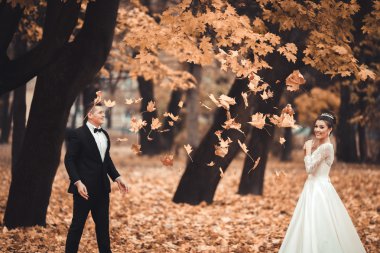 Lüks düğün çift, gelin ve damat park sonbaharda poz evli