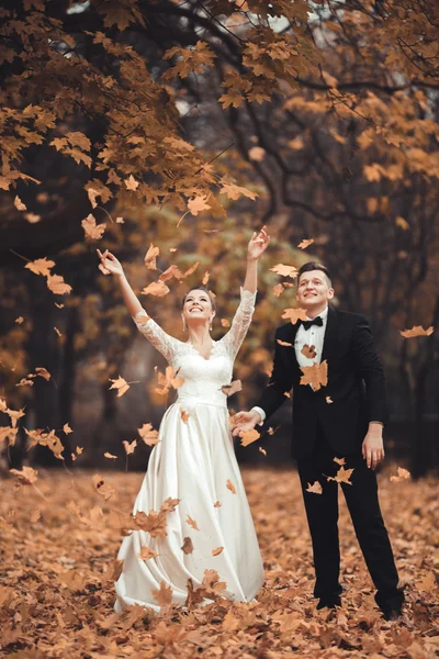 Luxury coppia di sposi sposati, sposa e sposo in posa nel parco autunno — Foto Stock