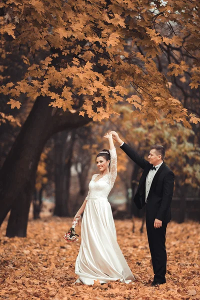 Luxury coppia di sposi sposati, sposa e sposo in posa nel parco autunno — Foto Stock