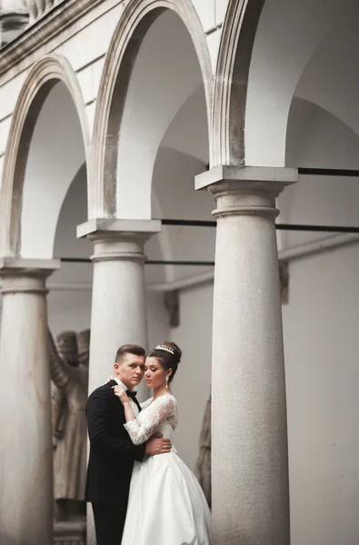 Lusso coppia di matrimoni sposati, sposa e sposo posa nella città vecchia — Foto Stock