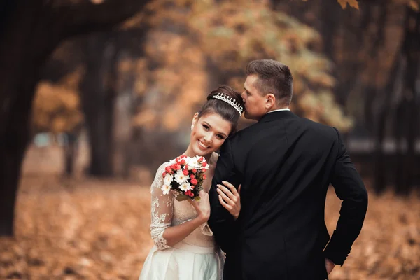 Couple de mariage marié de luxe, mariée et marié posant dans le parc automne — Photo