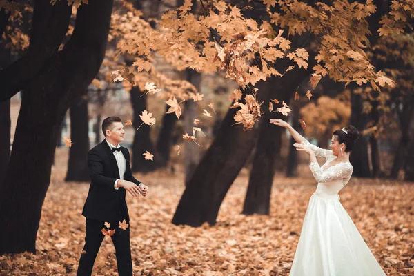 Luxury coppia di sposi sposati, sposa e sposo in posa nel parco autunno — Foto Stock