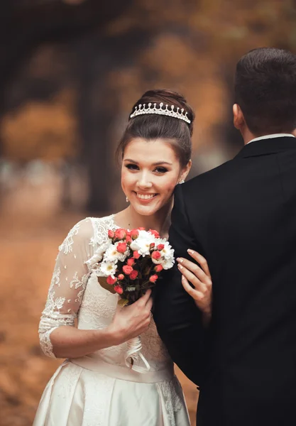 Luxury coppia di sposi sposati, sposa e sposo in posa nel parco autunno — Foto Stock