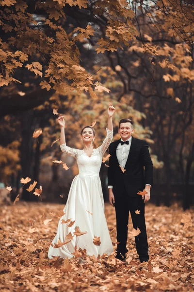 Couple de mariage marié de luxe, mariée et marié posant dans le parc automne — Photo