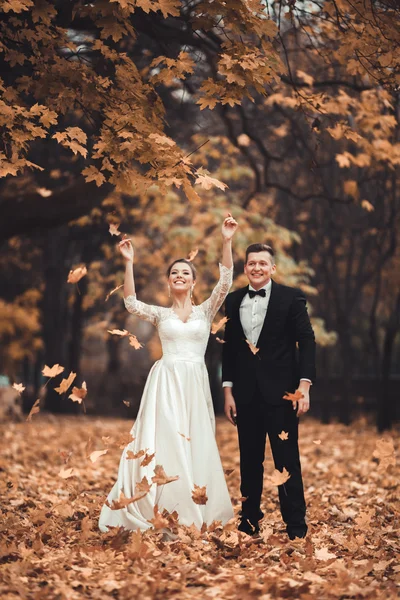 Luxury coppia di sposi sposati, sposa e sposo in posa nel parco autunno — Foto Stock