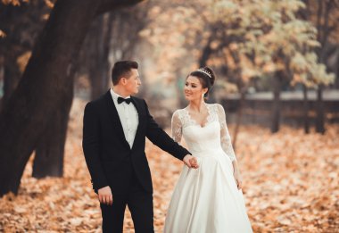 Lüks düğün çift, gelin ve damat park sonbaharda poz evli