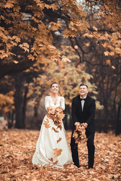 Pareja casada de lujo, novia y novio posando en el parque en otoño —  Fotos de Stock