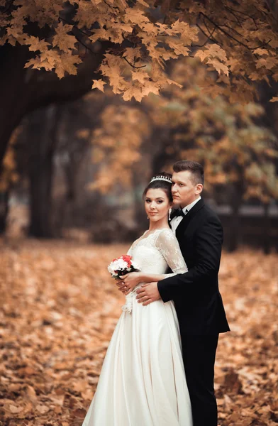 Розкішна подружня весільна пара, наречена і наречений позує в парку осінь — стокове фото