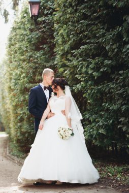 Mutlu evlilik çift, gelin ve damat parkta poz