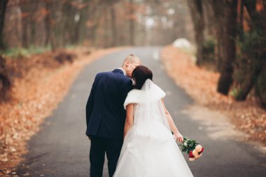 Mutlu evlilik çift, gelin ve damat park sonbaharda poz