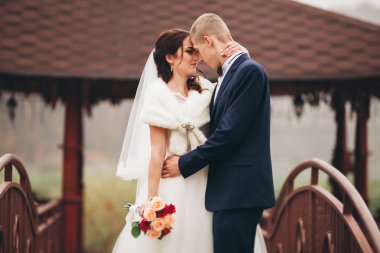 Mutlu evlilik çift, gelin ve damat park sonbaharda poz