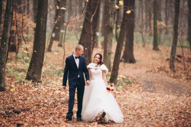 Mutlu evlilik çift, gelin ve damat park sonbaharda poz