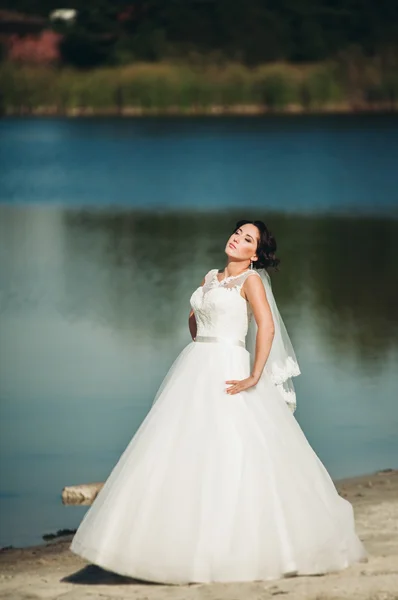 Bella sposa di lusso in posa con un bouquet all'aperto — Foto Stock