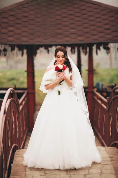 Bella sposa di lusso in posa con un bouquet all'aperto — Foto Stock