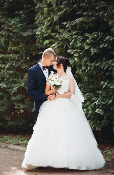 Pár boldog esküvő, a menyasszony és a vőlegény pózol park — Stock Fotó