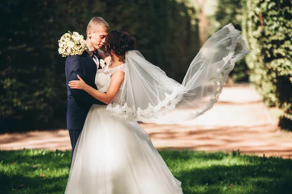 幸せな結婚式のカップル公園でポーズをとって新郎新婦 — ストック写真