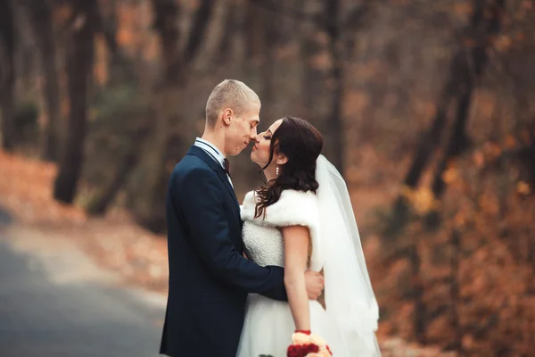 Felice coppia di nozze, sposa e sposo in posa nel parco autunno — Foto Stock