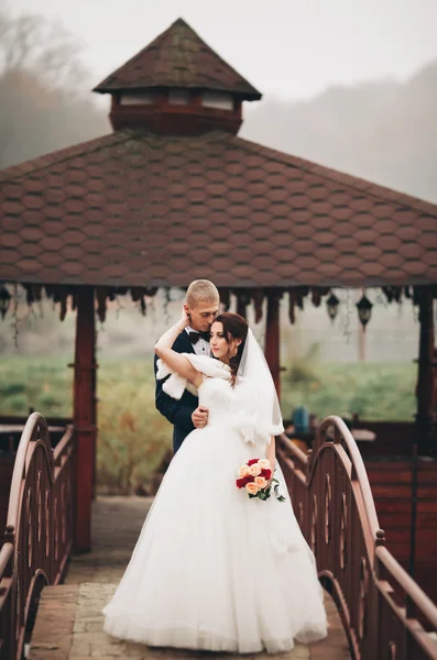 幸せな結婚式のカップル公園秋のポーズ新郎新婦 — ストック写真