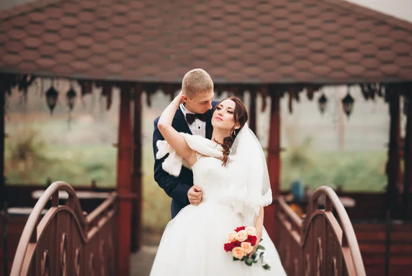 Feliz boda pareja, novia y novio posando en el parque de otoño — Foto de Stock