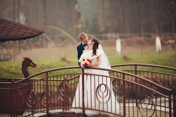 Joyeux couple de mariage, mariée et marié posant dans le parc automne — Photo