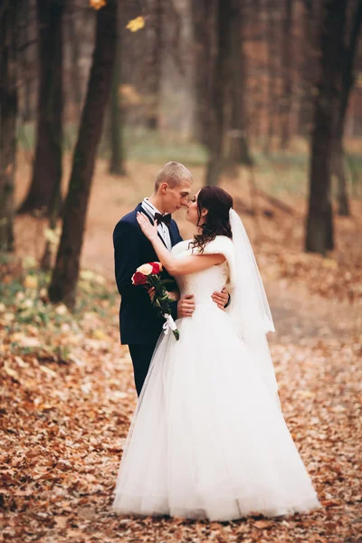 Mutlu evlilik çift, gelin ve damat park sonbaharda poz — Stok fotoğraf