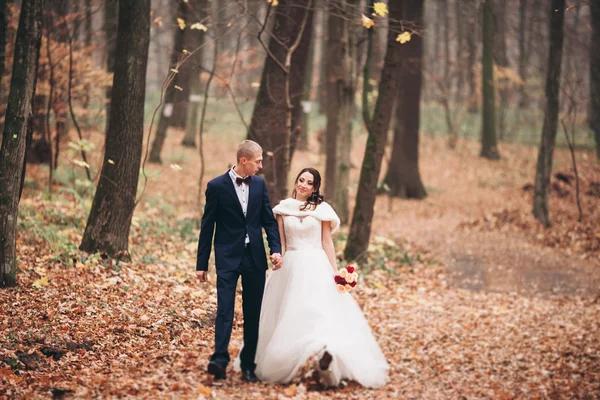 Verheugd huwelijksfeest paar, bruid en bruidegom poseren in het najaar van het park — Stockfoto