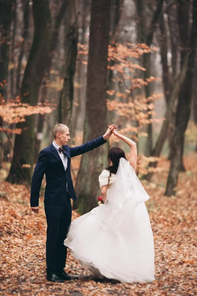 Joyeux couple de mariage, mariée et marié posant dans le parc automne — Photo