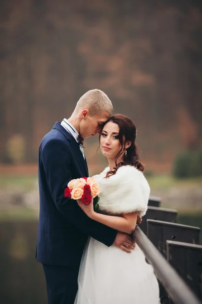 Aşk ve tutku - lake yakınındaki evli genç düğün çift öpücük — Stok fotoğraf